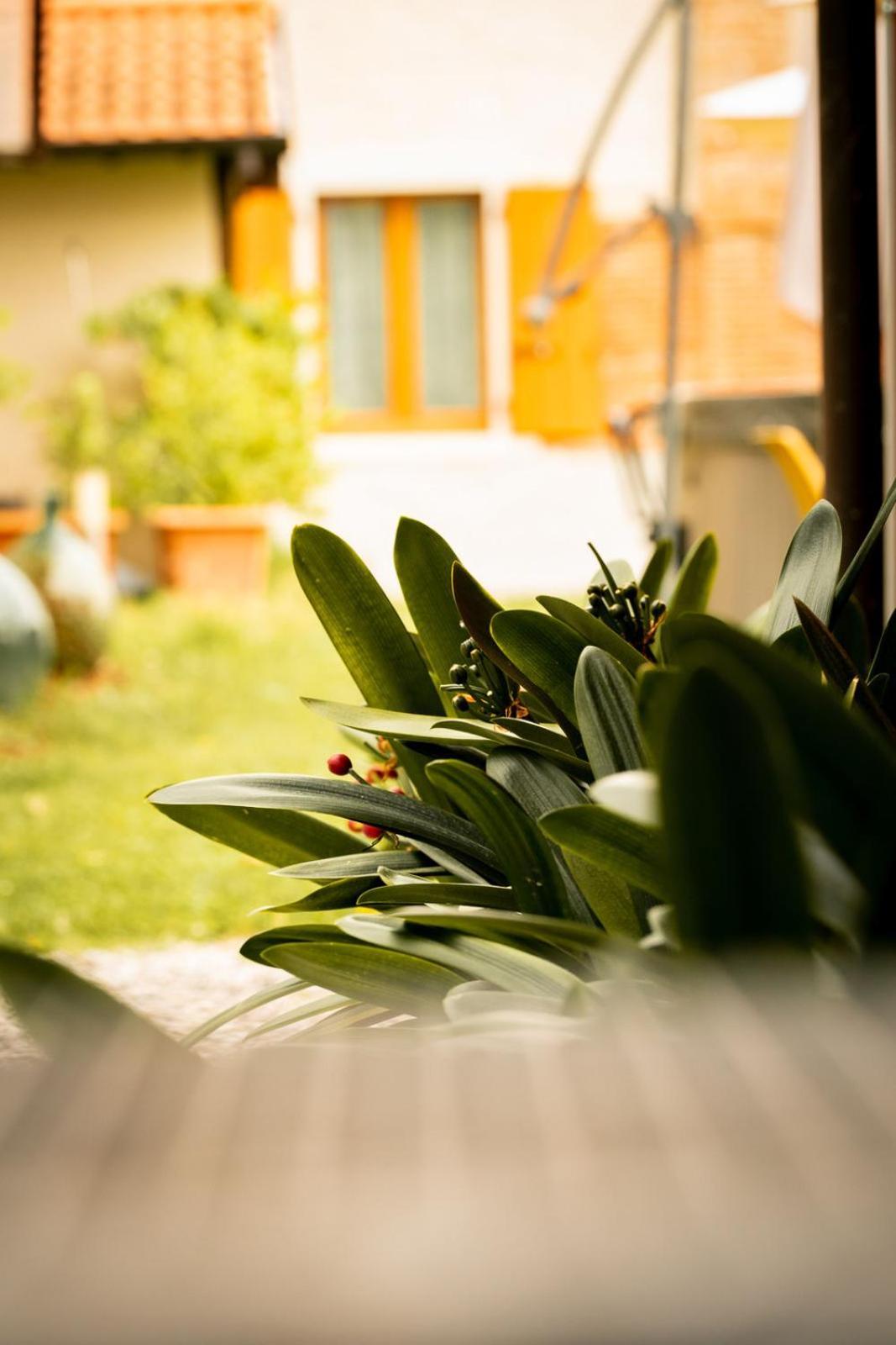 Agriturismo Podere Nigriano Salo Luaran gambar